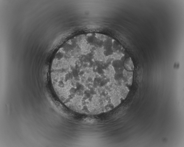 X0000112470742200909281045