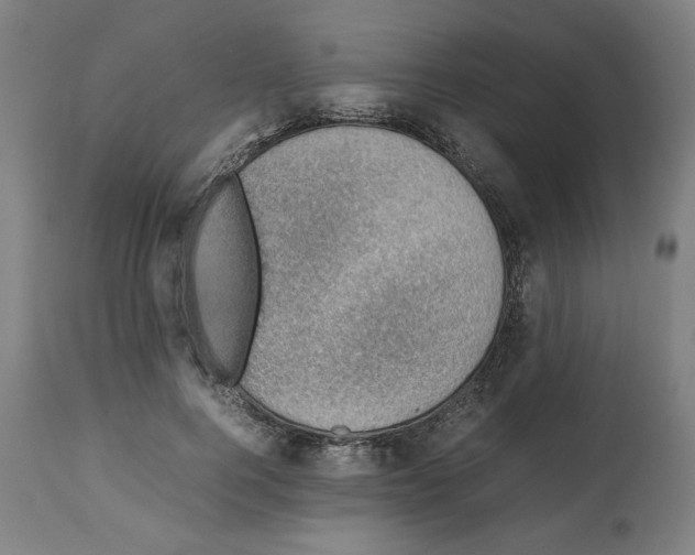 X0000112470744200909281045
