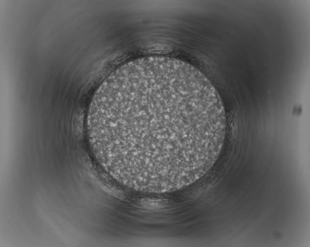 X0000112470745200909281045