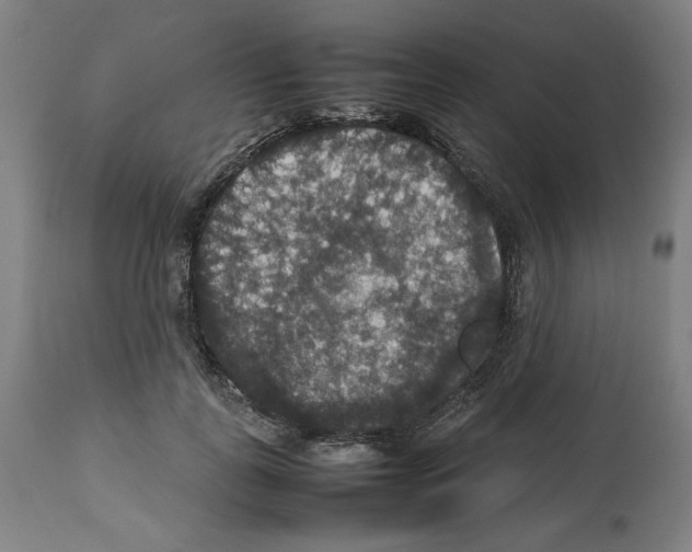 X0000112470747200909281045