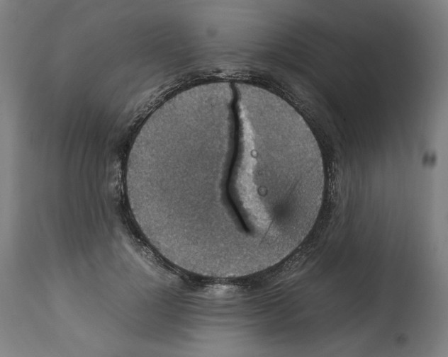 X0000112470748200909281045