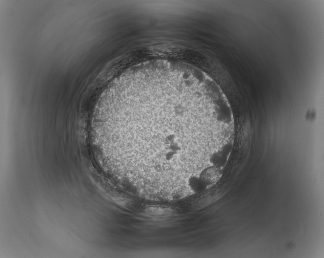 X0000112470749200909281045