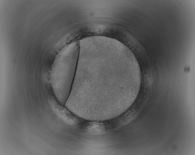 X0000112470750200909281045