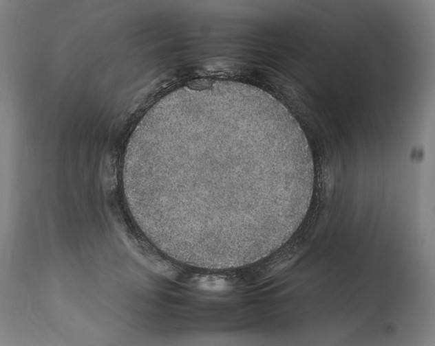 X0000112470751200909281045