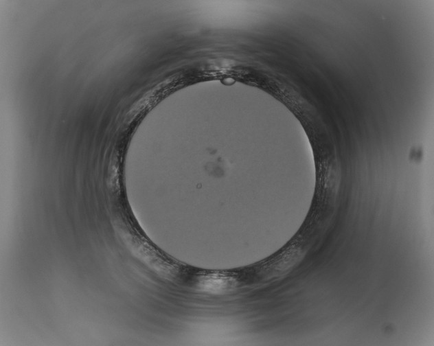 X0000112470754200909281045