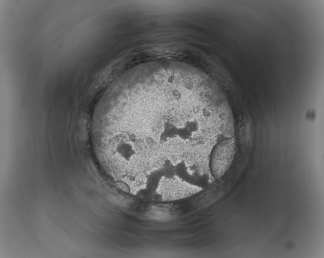 X0000112470757200909281045