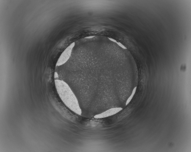 X0000112470758200909281045