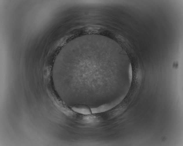 X0000112470759200909281045