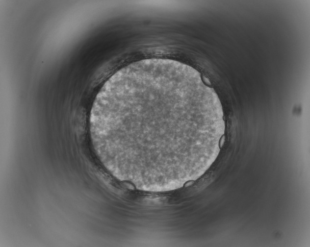 X0000112470760200909281045