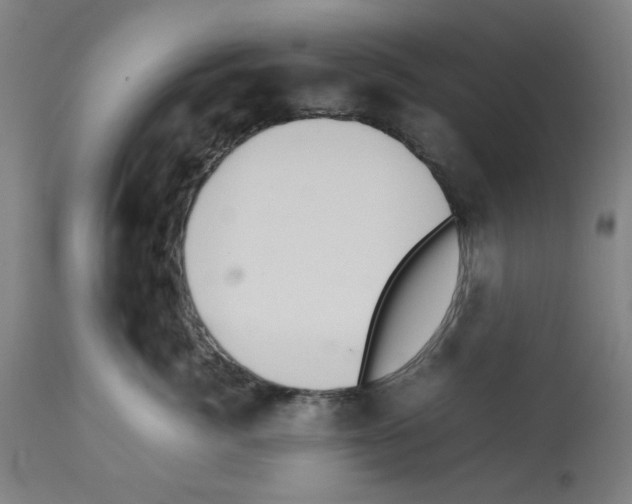 X0000112470764200909281045