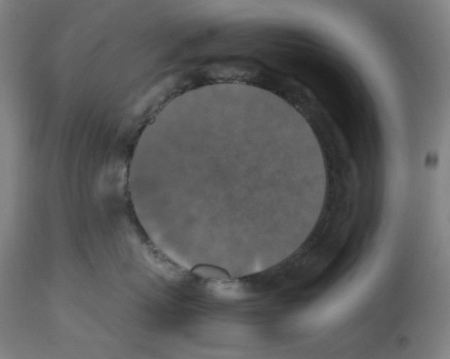 X0000112470767200909281045