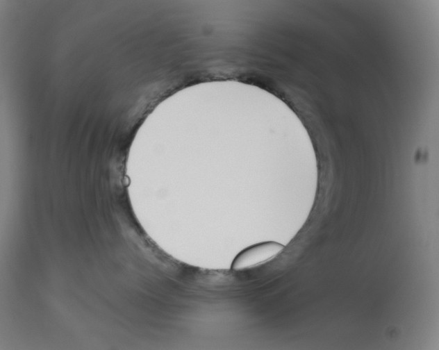 X0000112470768200909281045