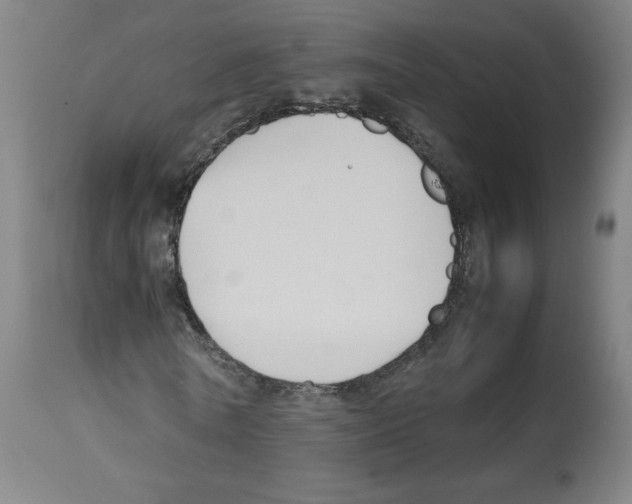 X0000112470770200909281045