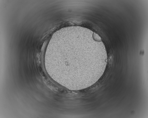 X0000112470772200909281045