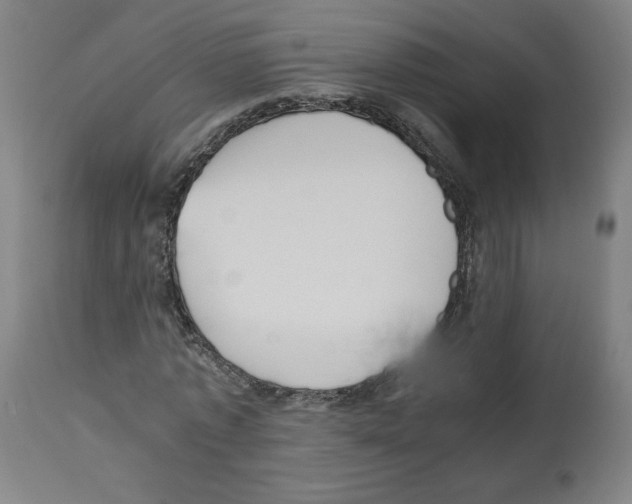 X0000112470773200909281045