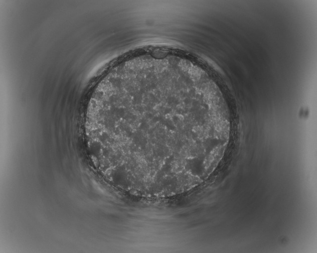 X0000112470775200909281045