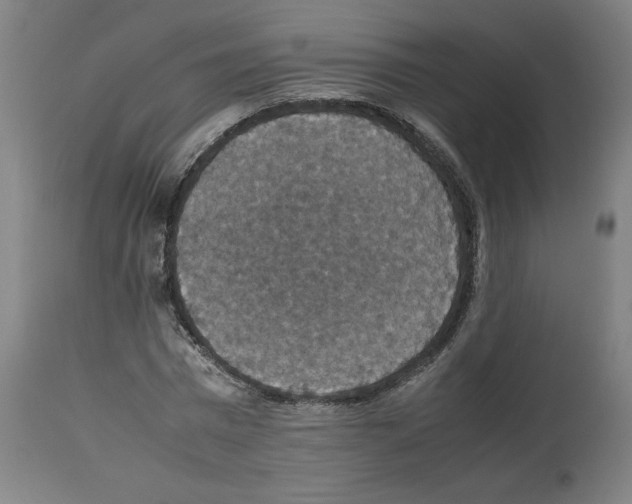 X0000112470777200909281044