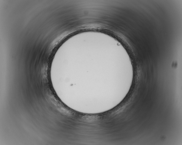X0000112470778200909281044