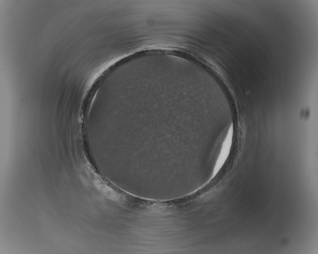 X0000112470779200909281044