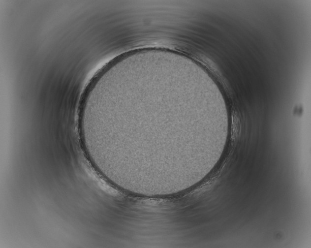 X0000112470780200909281044