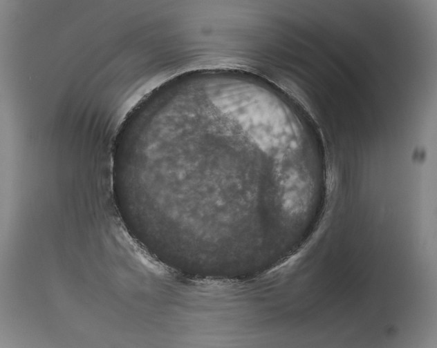 X0000112470781200909281044