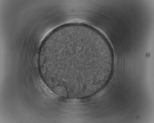 X0000112470783200909281044