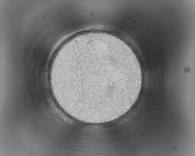 X0000112470784200909281044
