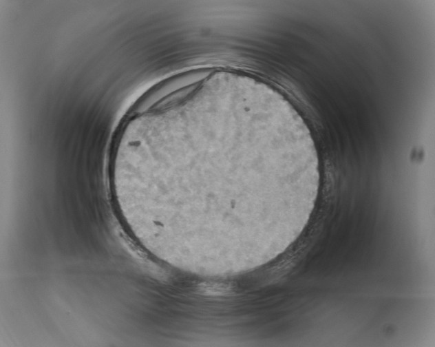 X0000112470788200909281044