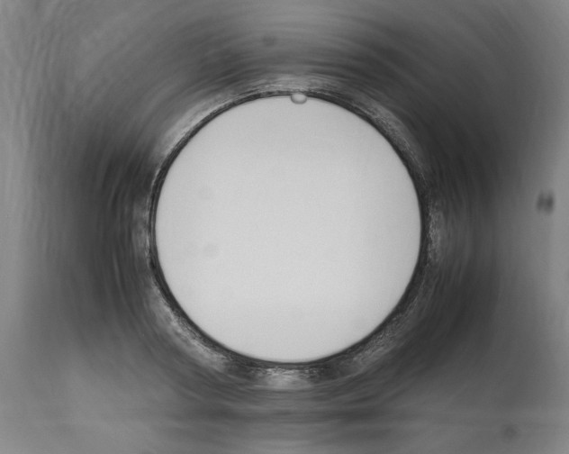 X0000112470794200909281044