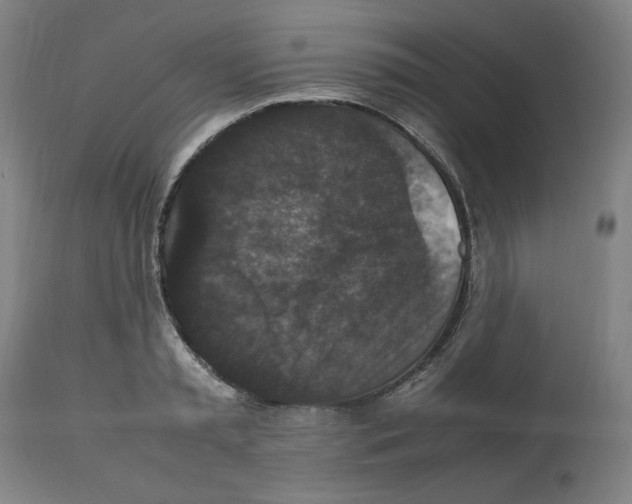 X0000112470797200909281044