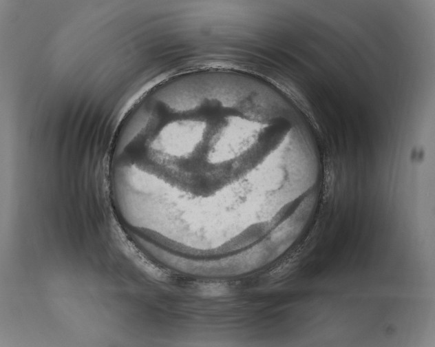 X0000112470798200909281044