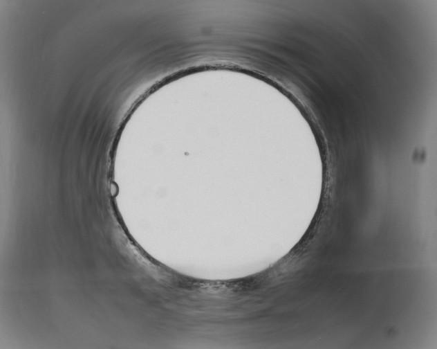X0000112470799200909281044