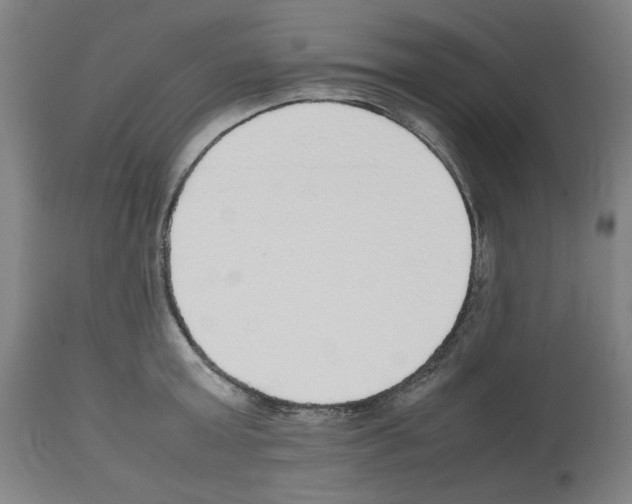 X0000112470803200909281044