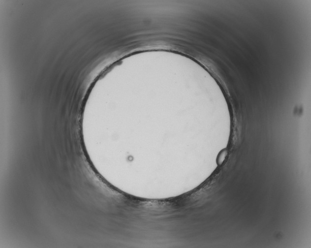 X0000112470805200909281044