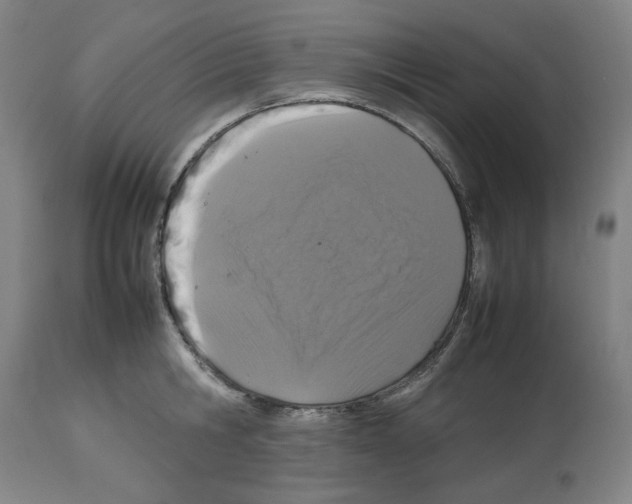 X0000112470806200909281044