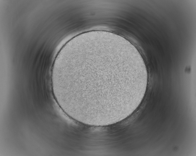 X0000112470808200909281044