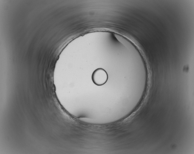 X0000112470809200909281044
