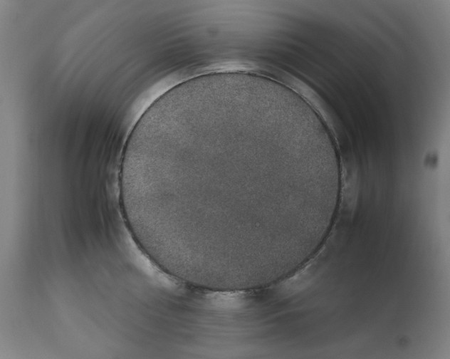 X0000112470810200909281044