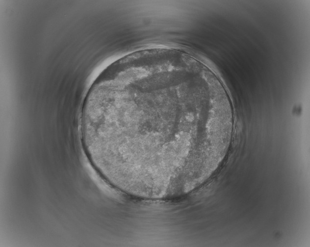 X0000112470811200909281044