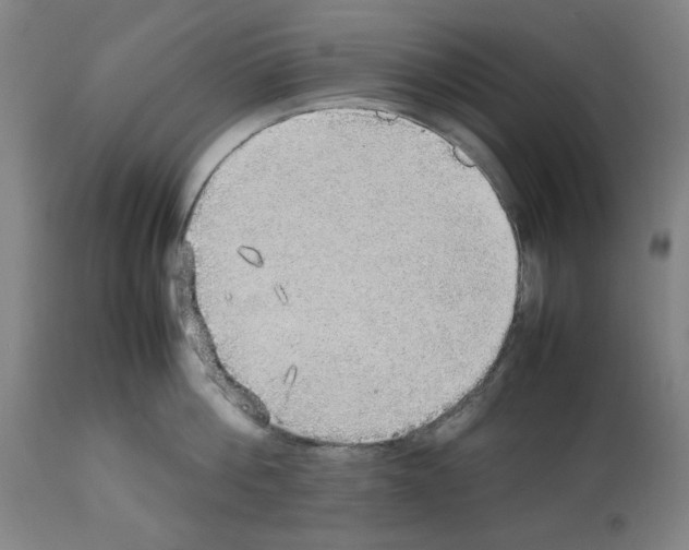 X0000112470812200909281044