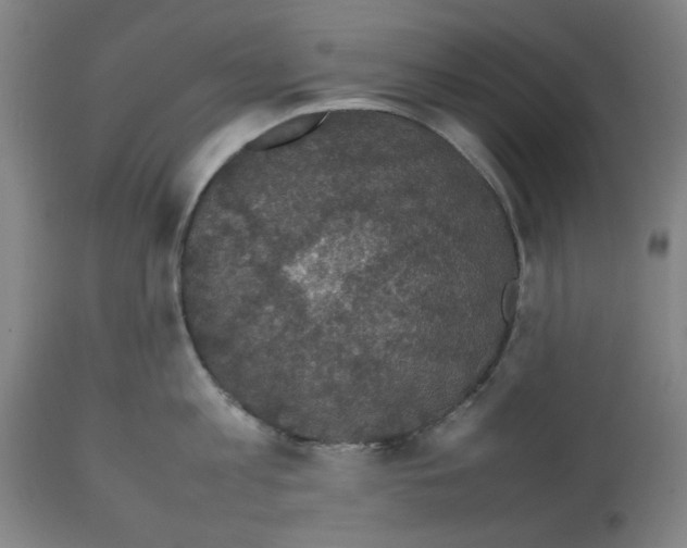 X0000112470813200909281044