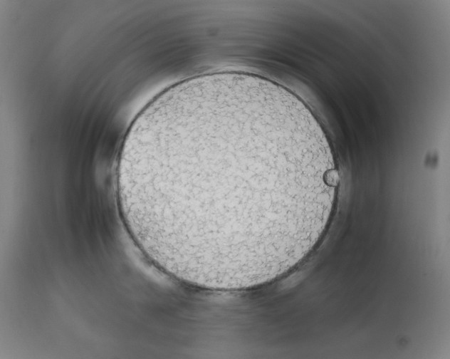 X0000112470814200909281044