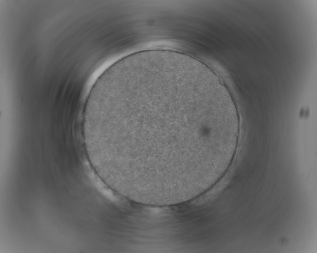 X0000112470816200909281044