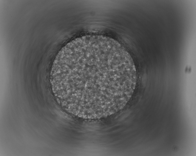 X0000112470817200909281043