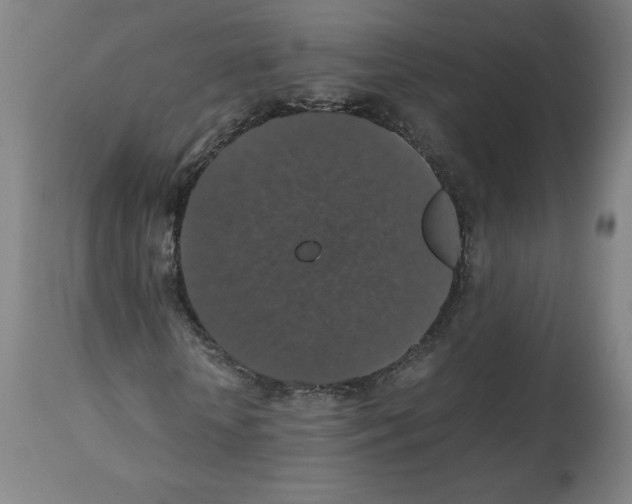 X0000112470818200909281043