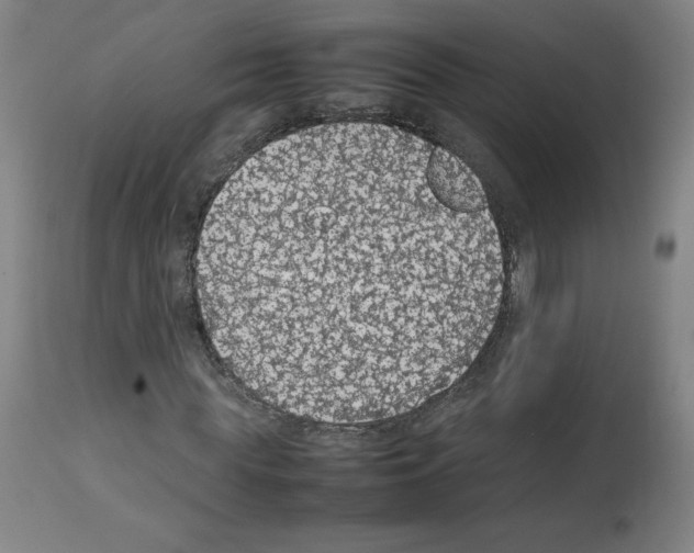 X0000112470819200909281043