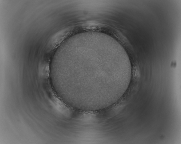 X0000112470820200909281043