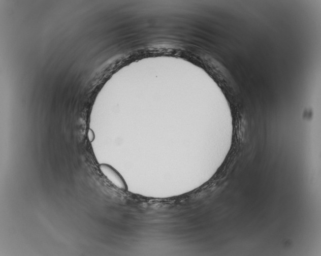 X0000112470821200909281043