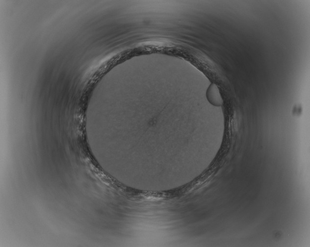 X0000112470822200909281043