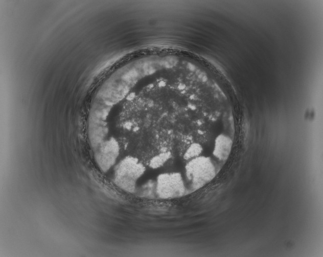 X0000112470823200909281043